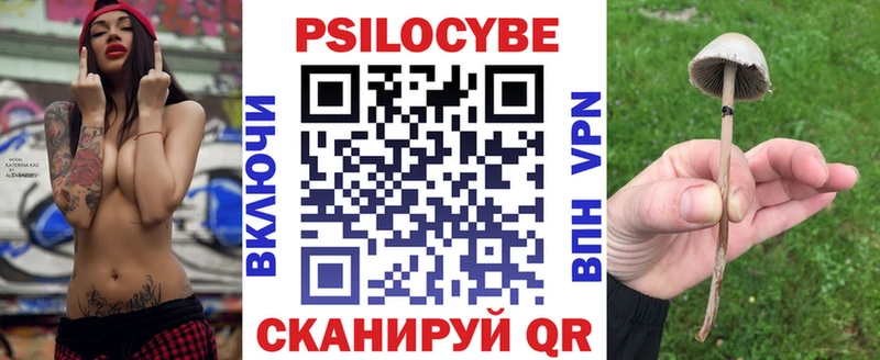 Купить  Лодейное Поле  Псилоцибиновые грибы GOLDEN TEACHER 